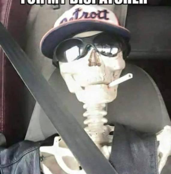 Meet your Posher, Rudy - Picture 1 of 1